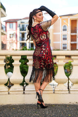 A Plus Size 1920s Gatsby Dress with Sleeves, Sequins , Beads and Fringes