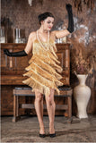 Gold Fringe Flapper Dress