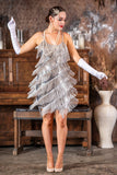 Silver Fringe Flapper Dress