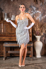 Silver Fringe Flapper Dress